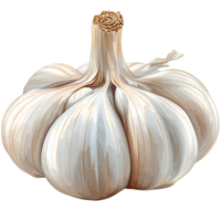 Garlic bulb isolated on transparent background png