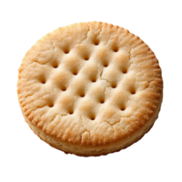 Round cracker biscuit with holes on transparent background png