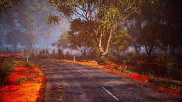 Scenic view of a winding road through vibrant red earth and lush trees video