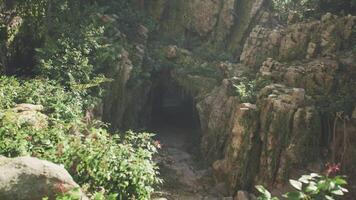 Exploring a tranquil cave entrance surrounded by lush greenery in India video