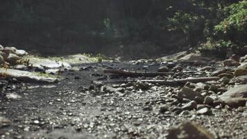 Exploring the rocky riverbed of Madagascar during a tranquil afternoon video