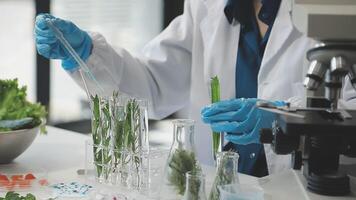 A person in a lab coat is working on a project video
