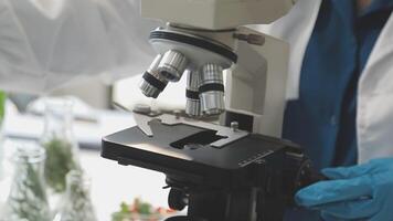 A person in a lab coat is looking at a microscope video