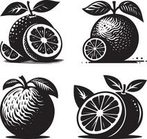 Orange silhouette Illustration and white background vector