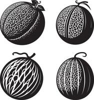 Illustrations of Melons Cantaloupe Honeydew and Watermelon vector