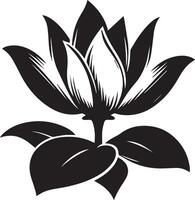 Black And White Lotus flower silhouette Illustration vector