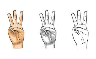 Hand Gesture Number Three Line Art Shaded Colored vector