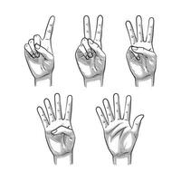 Numbered Hand Gestures Illustration Set Line Art with Outline Shading vector