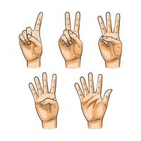 Colorful Hand Gestures Showing Numbers One to Five vector