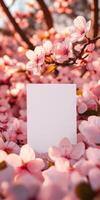 Elegant white greeting card surrounded by blooming cherry blossoms for spring celebrations photo