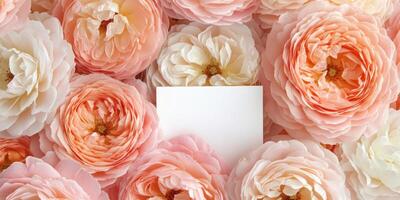 Elegant white greeting card surrounded by soft pink roses for romantic occasions photo