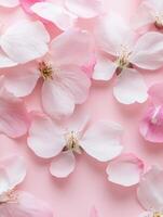 Serene flat lay of pink cherry blossom petals for spring decor photo