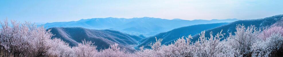 Panoramic mountain view with blooming trees in spring photo