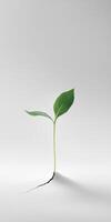 Growth and resilience concept with a green plant emerging from cracked surface for nature and sustainability design photo
