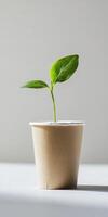 Eco friendly plant growth concept in biodegradable container for sustainable living photo