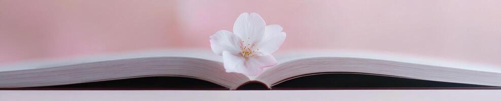Minimalistic still life with blossom flower on open book for elegant design photo