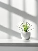 Modern minimalist workspace with white desk and potted plant for contemporary office design photo