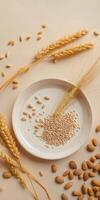 Minimalist composition of sprouting seed with wheat ears on ceramic plate for natural decor photo