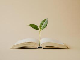 Growth and knowledge. A single sprout emerging from an open book for educational and inspirational concepts photo