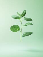 Minimalistic artistic representation of a single floating green plant against a soft background photo