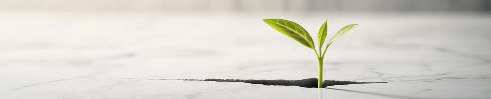 Resilience and growth. Vibrant sprout emerging from cracked surface for inspiration and motivation themes photo