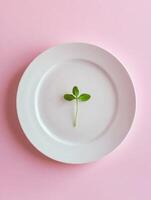Minimalist art of white ceramic plate with single green leaf on soft pink background photo