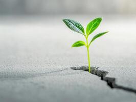 Resilient green sprout emerging from crack in a concrete surface. Growth concept photo