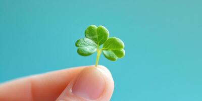 Gentle touch of nature. Hand holding a delicate sprout for growth and renewal concepts photo