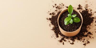 Eco friendly gardening with biodegradable plant pot on a minimalist background photo