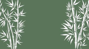 Bamboo tree on green, frame, Hand drawn style. vector