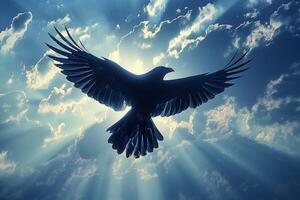 A black bird flying in the sky photo