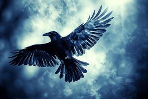 A black bird flying in the air with its wings spread photo