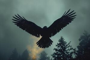 A black bird flying over a forest with trees in the background photo