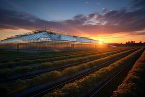 A greenhouse with a sun setting behind it photo
