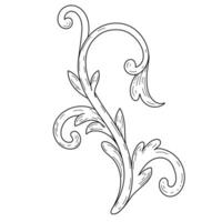 vintage baroque ornaments, flourishes calligraphic ornament, Ornament and Graphic Design with Spirals and Rolling Circle Motif vector