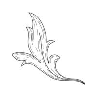 swirl decorative design element filigree calligraphy. vector