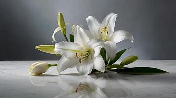 Elegant white Lily on floor Water Reflection and Dew Drop photo