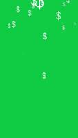 Dollar sign, symbol falling rain animation effect overlay vertical background green screen video