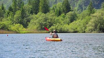 Relaxing day of kayaking on a tranquil lake surrounded by lush greenery and towering trees video