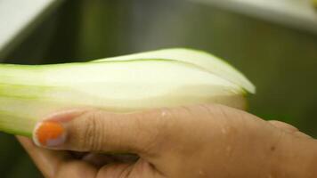 Preparing fresh cucumber with a peeler for a meal video