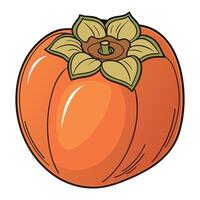 an orange persimmon fruit with leaves on it vector