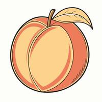 a peach is shown in a cartoon style vector