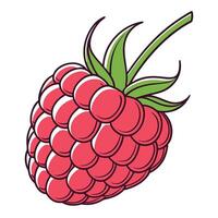 a raspberry is shown in a cartoon style vector