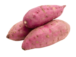 Three sweet potatoes with pinkish purple skin and small root scars are arranged in a pile png