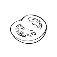 black and white illustration of a half of a tomato in sketch style. Suitable for design, printing, packaging, and decor. vector