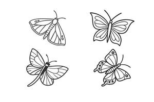 Hand Drawn line art Of Buttefly set. vector