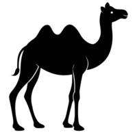 Camel Silhouette Art Icon with Simple Lines vector