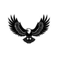Eagle Soaring in the Sky on White Background Majestic Bird of Prey in Illustrator Artwork vector