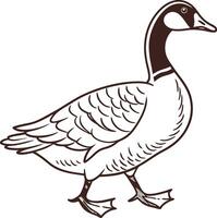 A goose is standing in a line drawing vector
