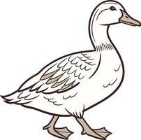 A duck standing on a white background vector